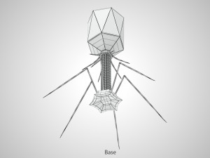 Bacteriophage 3D Model