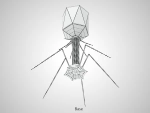Bacteriofaag 3D Model