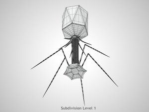 Bacteriophage 3D Model