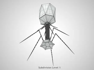 Bacteriofaag 3D Model