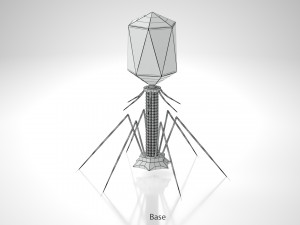 Bacteriophage 3D Model