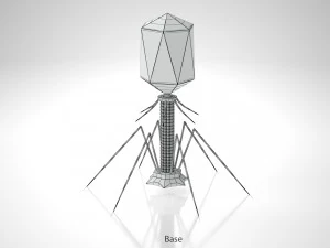 Bacteriofaag 3D Model