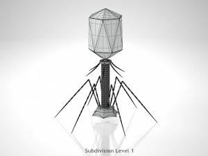 Bacteriophage 3D Model