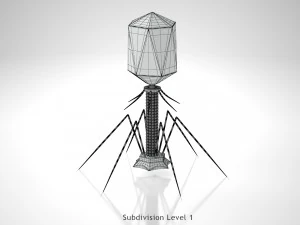 Bacteriofaag 3D Model