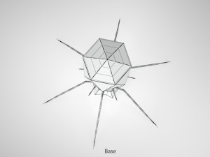 Bacteriophage 3D Model