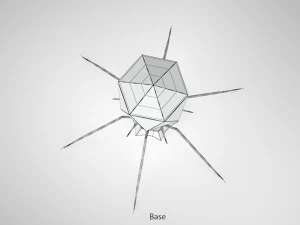 Bacteriofaag 3D Model