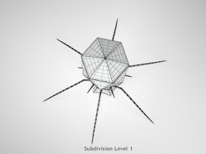 Bacteriophage 3D Model