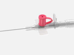 Cannula 3D Model