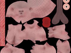 Animated-Morphed Human Fetus 3D 모델