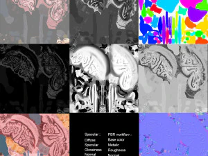 Brain and Nervous System and Body 3D Model
