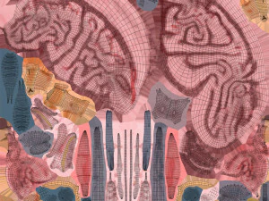 Brain and Nervous System and Body 3D Model