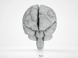 Brain and Nervous System and Body 3D Model