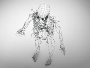 Brain and Nervous System and Body 3D Model
