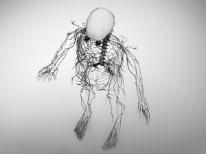 Brain and Nervous System and Body 3D Model