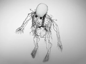 Brain and Nervous System and Body 3D Model