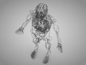 Human Circulatory System 3D Model