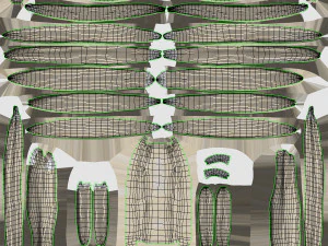 Menselijk skelet met ligamenten 3D Model