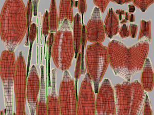 Musculoskeletal System with Body 3D Модель