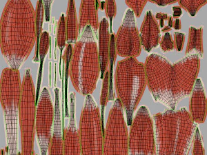 Musculoskeletal System with Body 3D Model