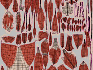 Musculoskeletal System with Body 3D Model