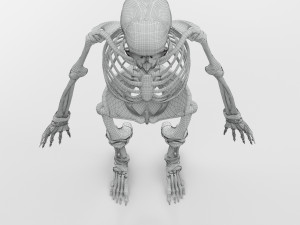 Musculoskeletal System with Body 3D Модель