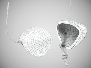 10 Complete Human Organs Modèle 3D