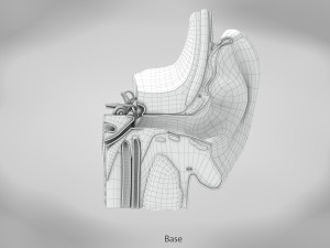 10 Complete Human Organs Modèle 3D