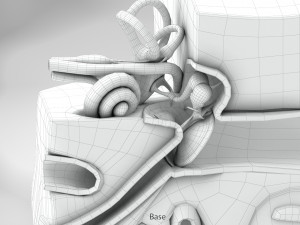 10 Complete Human Organs Modèle 3D