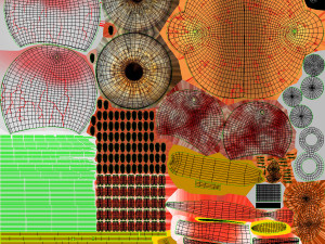 10 Complete Human Organs Modèle 3D