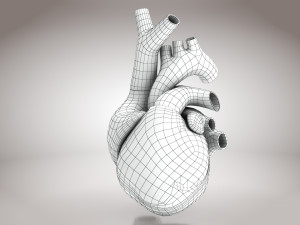 10 Complete Human Organs Modèle 3D