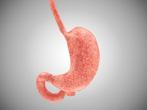 10 Complete Human Organs Modèle 3D