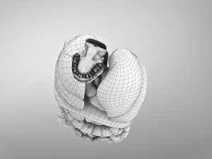 Human Internal Organs 3D 模型