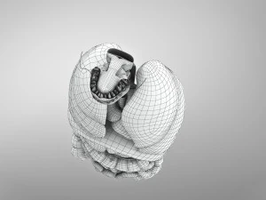 Human Internal Organs 3D Model