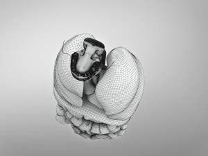Human Internal Organs 3D 模型
