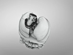 Human Internal Organs 3D Model