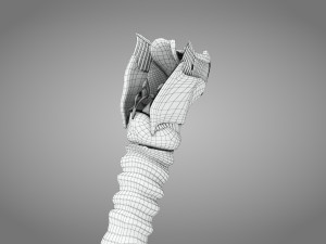 Larynx Anatomy 3Dモデル