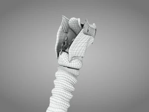 Larynx Anatomy 3D Model