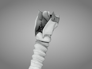 Larynx Anatomy 3Dモデル
