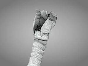 Larynx Anatomy 3D Model