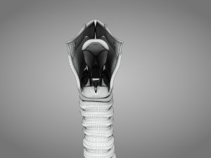 Larynx Anatomy 3Dモデル