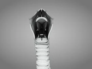 Larynx Anatomy 3D Model