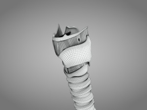 Larynx Anatomy 3Dモデル