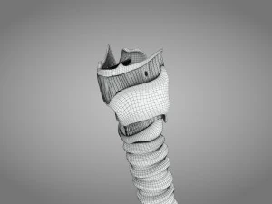 Larynx Anatomy 3D Model