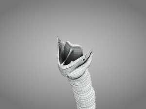 Larynx Anatomy 3Dモデル