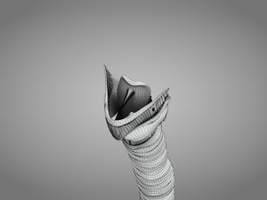 Larynx Anatomy 3Dモデル