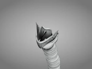 Larynx Anatomy 3D Model