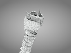 Larynx Anatomy 3Dモデル