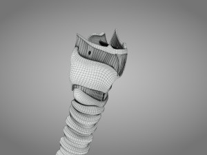 Larynx Anatomy 3Dモデル