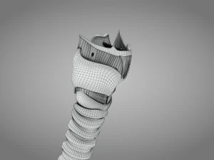 Larynx Anatomy 3D Model