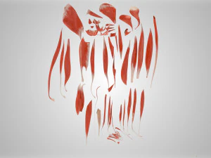 Complete Human leg anatomy 3D Model